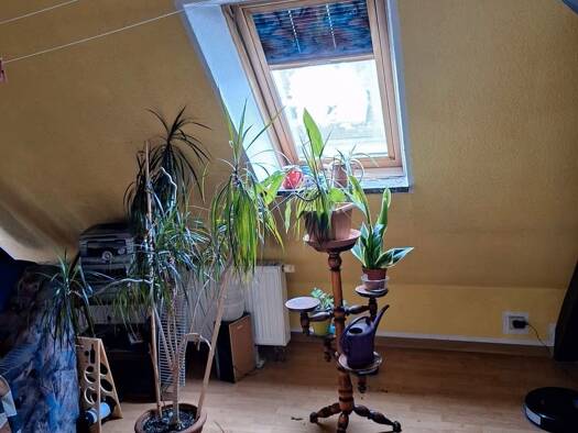 Wohnung zum Kauf 145.000 € 4 Zimmer 142 m² 3. Geschoss Weißwasser/O.L. 02943