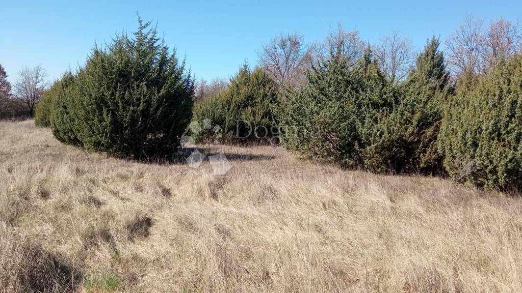 Land-/Forstwirtschaft zum Kauf 35.000 € Kanfanar