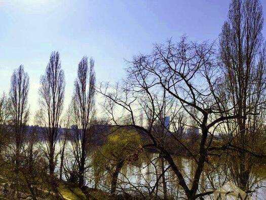 Gewerbeobjekt zum Kauf als Kapitalanlage geeignet 1.750.000 € 549 m² 491 m² Grundstück Bürgel Offenbach 63075