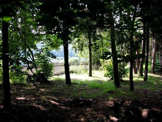 Sonstiges zum Kauf als Kapitalanlage geeignet 549.000 € 865 m² Grundstück Mecklenbeck Münster 48163