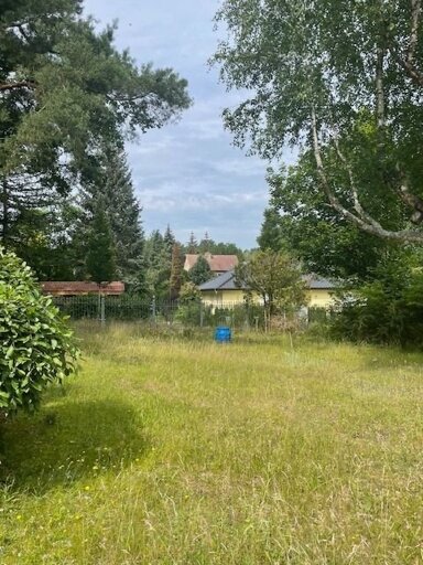 Bungalow zum Kauf provisionsfrei 571.900 € 819 m² Grundstück frei ab sofort Zühlsdorf Mühlenbecker Land 16515