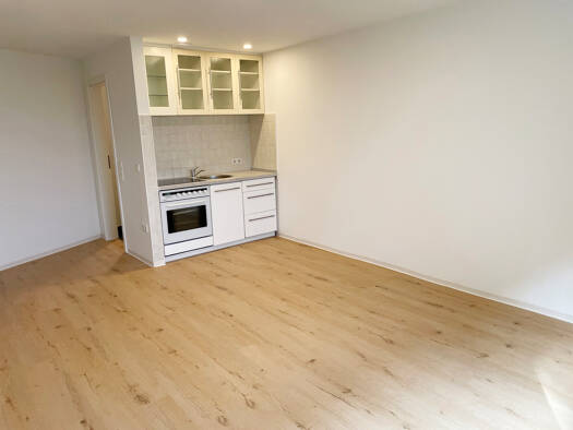 Wohnung zur Miete 390 € 1 Zimmer 28 m² EG frei ab 01.02.2026 Wilhelm-Löhe-Straße 10 Gibitzenhof Nürnberg 90443