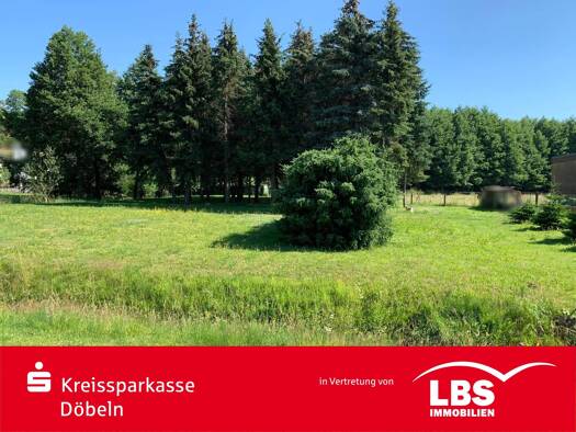 Grundstück zum Kauf 40.000 € 2.600 m² Grundstück Ostrau Ostrau 04749