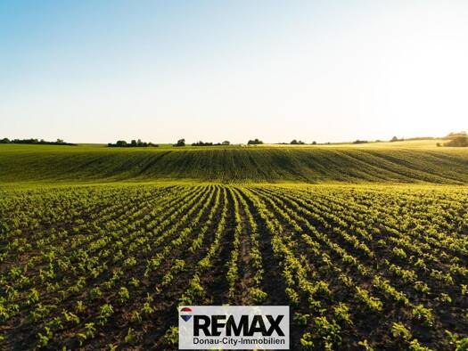 Landwirtschaftliche Fläche zum Kauf 538.000 € 21.500 m² Grundstück Himberg 2325