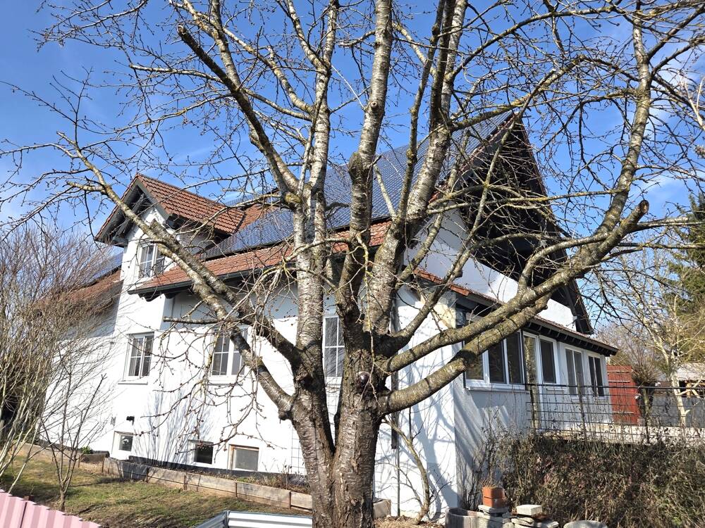 Immobilie in Königsmoos - Großzügiges Einfamilienhaus in ruhiger Randlage mit Feldblick! - Bild 1