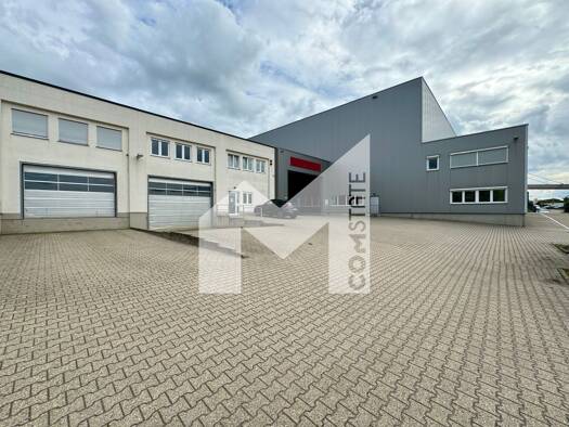 Lagerhalle zur Miete 6,50 € 1.767 m² Lagerfläche teilbar ab 1.877 m² Aachen 52078