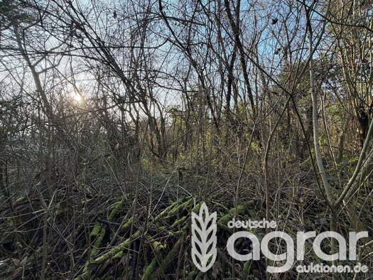 Land-/Forstwirtschaft zum Kauf 3.333 € 477 m² Grundstück Bergen-Enkheim Frankfurt am Main 60388