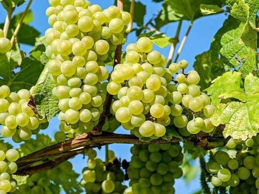 Wohnung zur Miete 710 € 3 Zimmer 96 m² 1. Geschoss Lindelbach Wertheim 97877