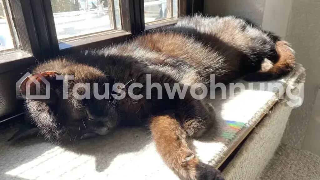 Studio zur Miete Tauschwohnung 300 € 1 Zimmer 23 m² 1. Geschoss Burgau Jena 07745