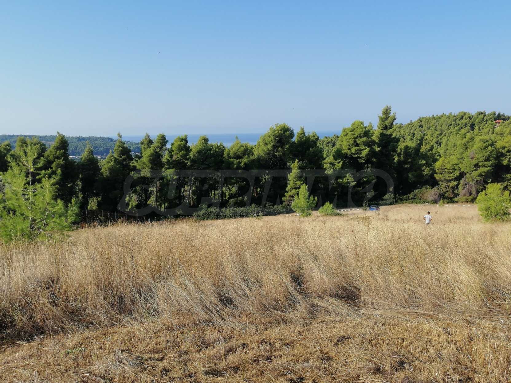 Landwirtschaftliche Fläche zum Kauf 90.000 € Elani