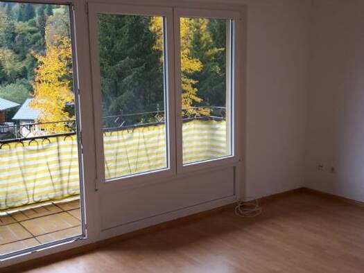 Wohnung zur Miete 500 € 3 Zimmer 71 m² Geschoss 3/3 frei ab sofort Luftbad 1 Vordertodtmoos Todtmoos 79682