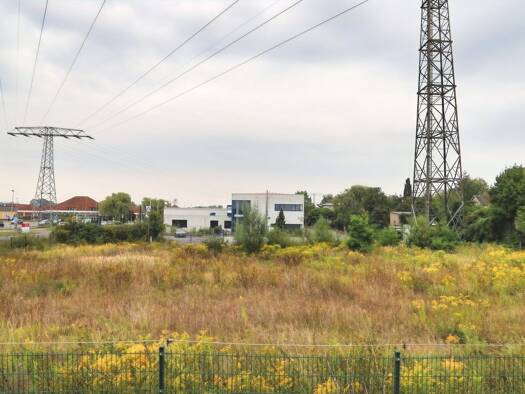 Gewerbegrundstück zum Kauf 319.000 € 2.772 m² Grundstück Neuenhagen Bad Freienwalde 16259