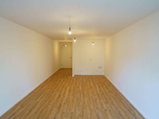 Wohnung zur Miete 980 € 1 Zimmer 43 m² Darmstadt Darmstadt 64285