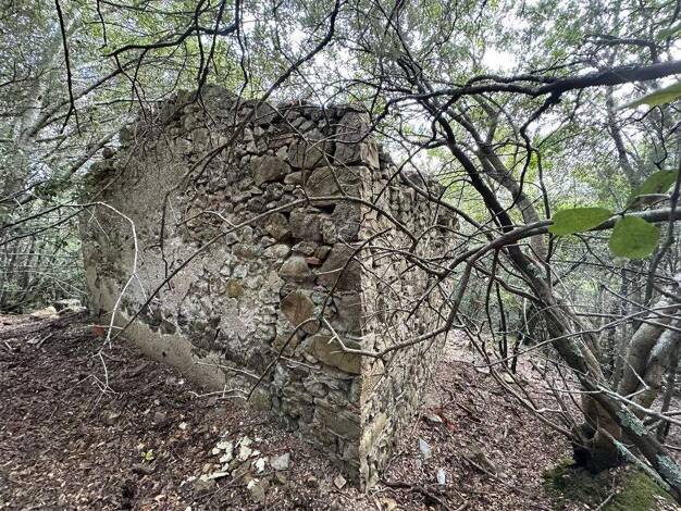 Grundstück zum Kauf 39.000 € 18.090 m² Grundstück Waldgrundstück mit Ruine für Hausbau Massa Marittima 58024