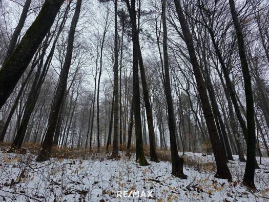 Forstwirtschaft zum Kauf 9.400 € 6.294 m² Grundstück Wallendorf 8382