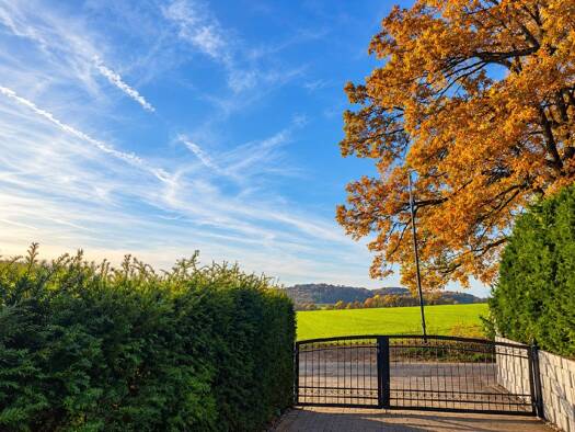 Einfamilienhaus zum Kauf 590.000 € 5 Zimmer 145 m² 476 m² Grundstück Hasbergen Hasbergen 49205