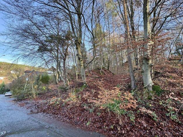 Grundstück zum Kauf 99.000 € 1.242 m² Grundstück Erlenbach Kaiserslautern 67659