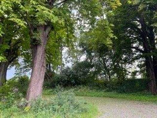 Grundstück zum Kauf provisionsfrei 1.200 € 600 m² Grundstück Am Weidebrunnen 12 Hahndorf Goslar-Hahndorf 38644