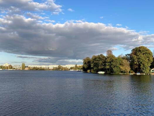 Wohnung zur Miete 890 € 1,5 Zimmer 51,6 m² Geschoss 3/5 frei ab sofort Spandau Berlin 13585