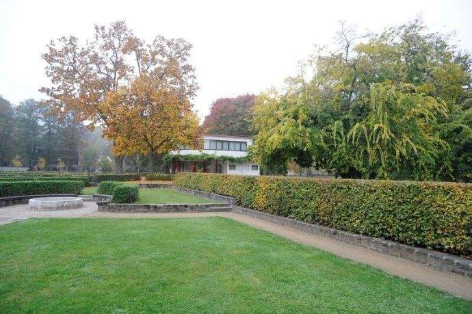 Property thumbnail 16