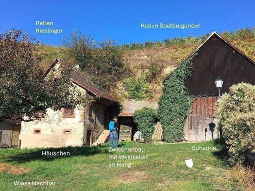 Bauernhaus zum Kauf 179.000 € 5 Zimmer 120 m² 2.318 m² Grundstück Hohlgasse 21 Bickensohl Vogtsburg im Kaiserstuhl 79235