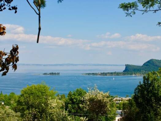 Villa zum Kauf 10 Zimmer 1.089 m² 12.475 m² Grundstück San Felice