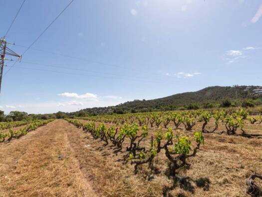 Bauernhaus zum Kauf 1.650.000 € 3 Zimmer 200 m² 11.000 m² Grundstück Sant Josep de sa Talaia 07829
