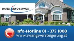 Daten Info Service Eibl GmbH logo