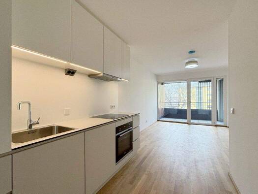 Wohnung zur Miete 740 € 2 Zimmer 42,8 m² Mödling 2340