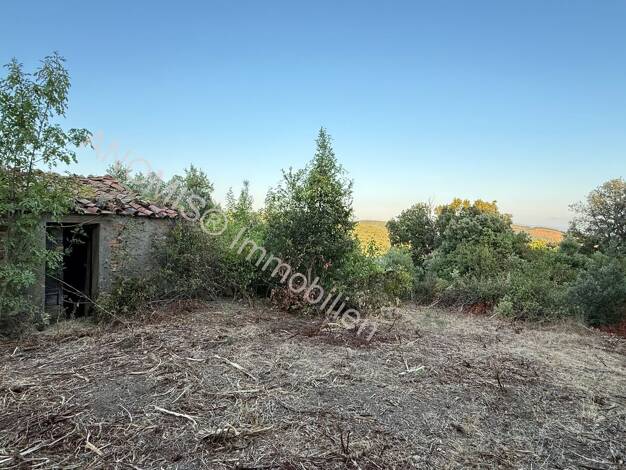 Grundstück zum Kauf 59.000 € 15.220 m² Grundstück Tatti - Haus Rudere Massa Marittima 58024