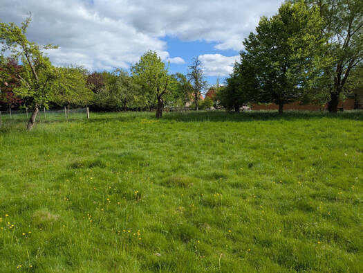 Grundstück zum Kauf Mengeringhausen Bad Arolsen 34454