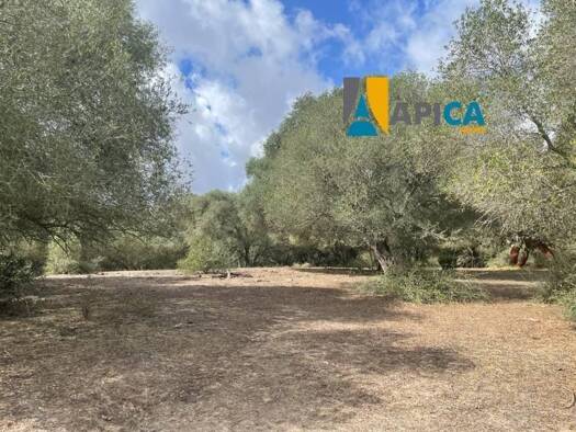 Acker-/Waldstück zum Kauf 130.000 € Vejer de la Frontera 11150