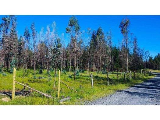 Büro zum Kauf 25.000.000 € Changal