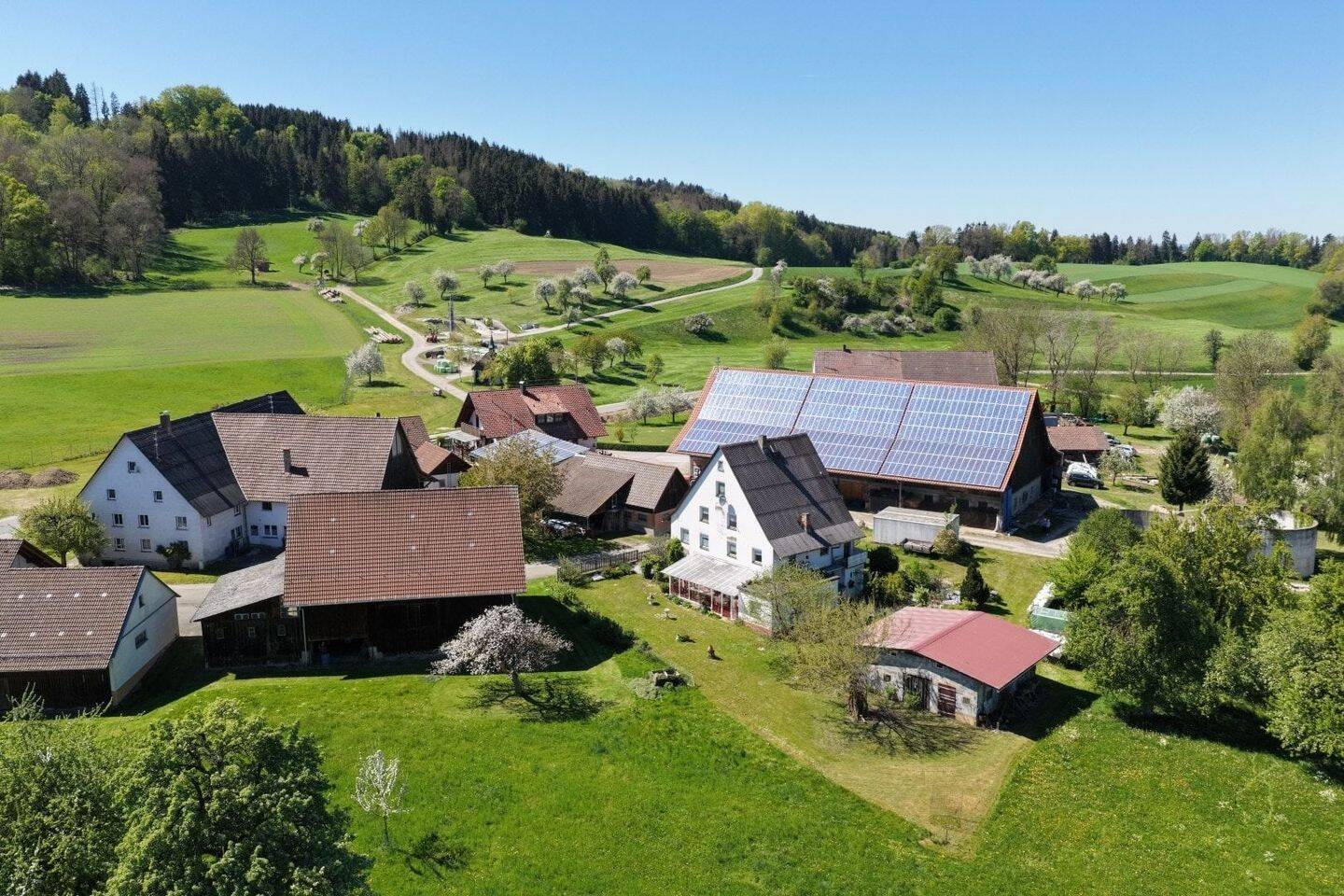 Haus – Ostrach, Landkreis Sigmaringen - Ansicht 3