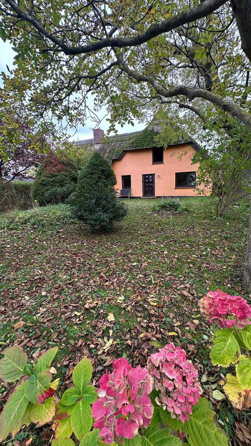 Immobilie in Ahrenshoop - AHRENSHOOP: Ein Haus mit Geschichte zwischen Bodden und Ostsee - Bild 0