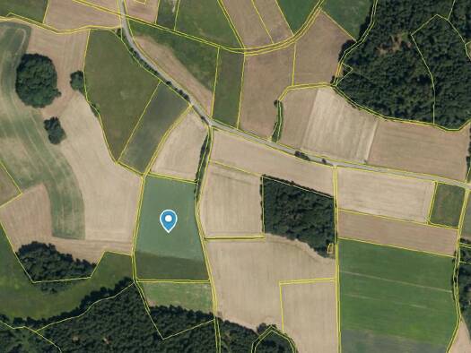 Land-/Forstwirtschaft zum Kauf 121.320 € 16.176 m² Grundstück Witzenzell Falkenstein 93167