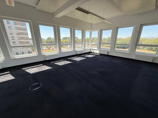 Bürofläche zur Miete 9.450 € 630 m² Bürofläche Kelsterbach 65451