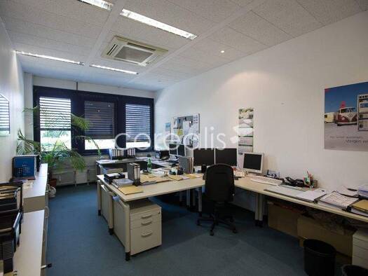 Bürofläche zur Miete provisionsfrei 12 € 380 m² Bürofläche Unterfeldhaus Erkrath 40699