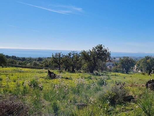 Grundstück zum Kauf 20.565.000 € 20.565 m² Grundstück Albarizas 29600