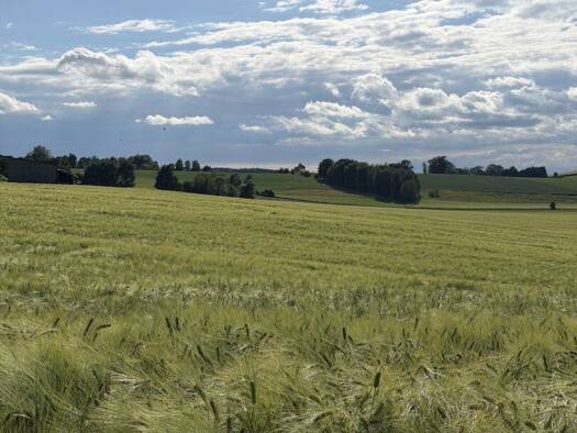 Land-/Forstwirtschaft zum Kauf 83.562 m² Grundstück Taufkirchen an der Pram 4775