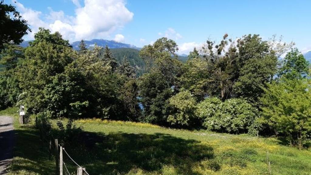 Grundstück zum Kauf 810.000 € 1.032 m² Grundstück Millstatt 9872