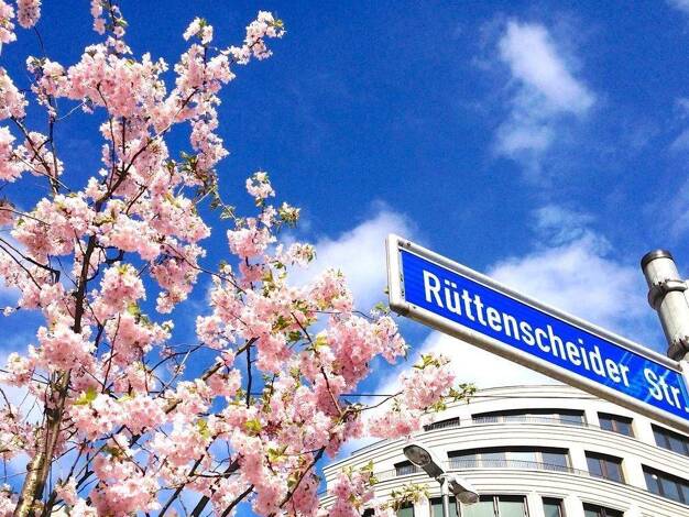 Wohnung zur Miete Wohnen auf Zeit 2.350 € 3 Zimmer 86 m² frei ab sofort Rüttenscheid Essen 45131