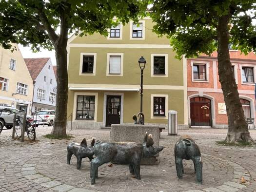 Wohnung zur Miete 600 € 1 Zimmer 60 m² Geschoss 2/3 frei ab 01.05.2026 Amberg 92224