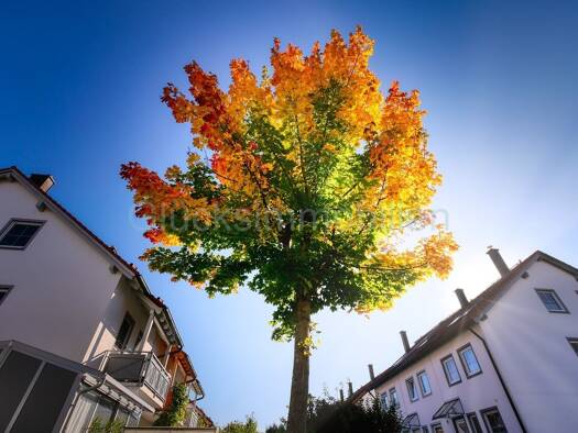 Doppelhaushälfte zum Kauf - Erstbezug provisionsfrei 405.800 € 5 Zimmer 114 m² 211 m² Grundstück Ebendorf Barleben 39179