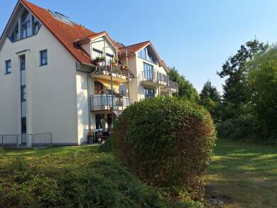 Wohnung zum Kauf 99.000 € 1 Zimmer 49 m² 1. Geschoss Brandis Brandis 04821