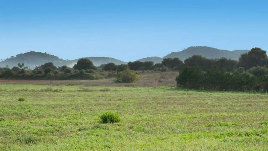 Haus zum Kauf 100.000 € 3 Zimmer 15.000 m² Grundstück Manacor