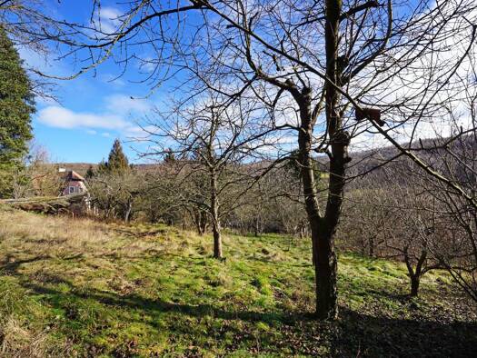 Grundstück zum Kauf 560.000 € 918 m² Grundstück Mauerbach 3001