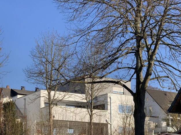 Mehrfamilienhaus zum Kauf provisionsfrei 1.380.000 € 10 Zimmer 345 m² 487 m² Grundstück Idstein Idstein 65510