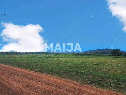 Grundstück zum Kauf 100.528 € 15.200 m² Grundstück Hua Hin 77110