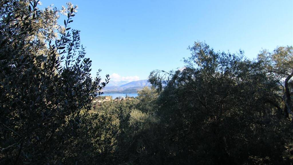 Land-/Forstwirtschaft zum Kauf 280.000 € 4.000 m² Grundstück Korfu